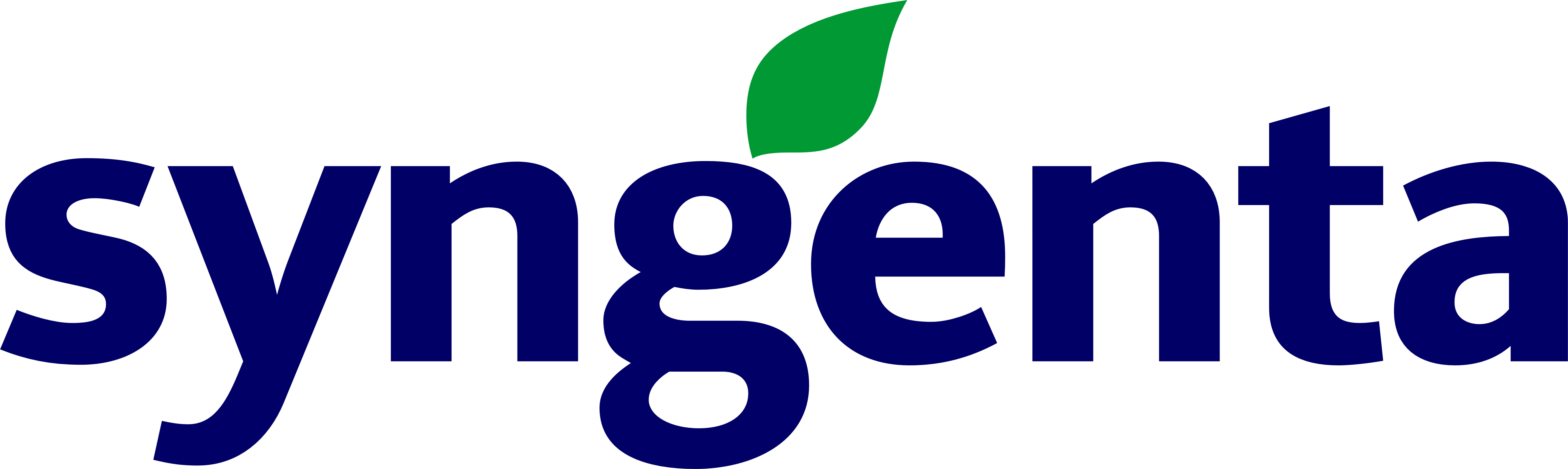 Sponsor 1 Logo